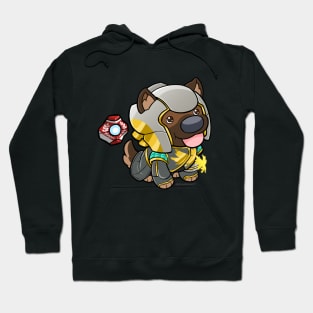 D2 Warlock Puppers Hoodie